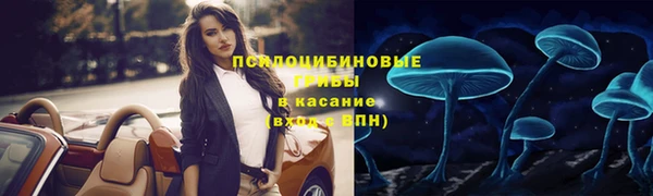 apvp Белоозёрский