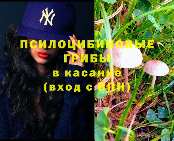 экстази Белокуриха
